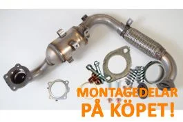 Kampanj Katalysator Ford B Max, Ecosport, Fiesta Vi, Tourneo Courier EEC